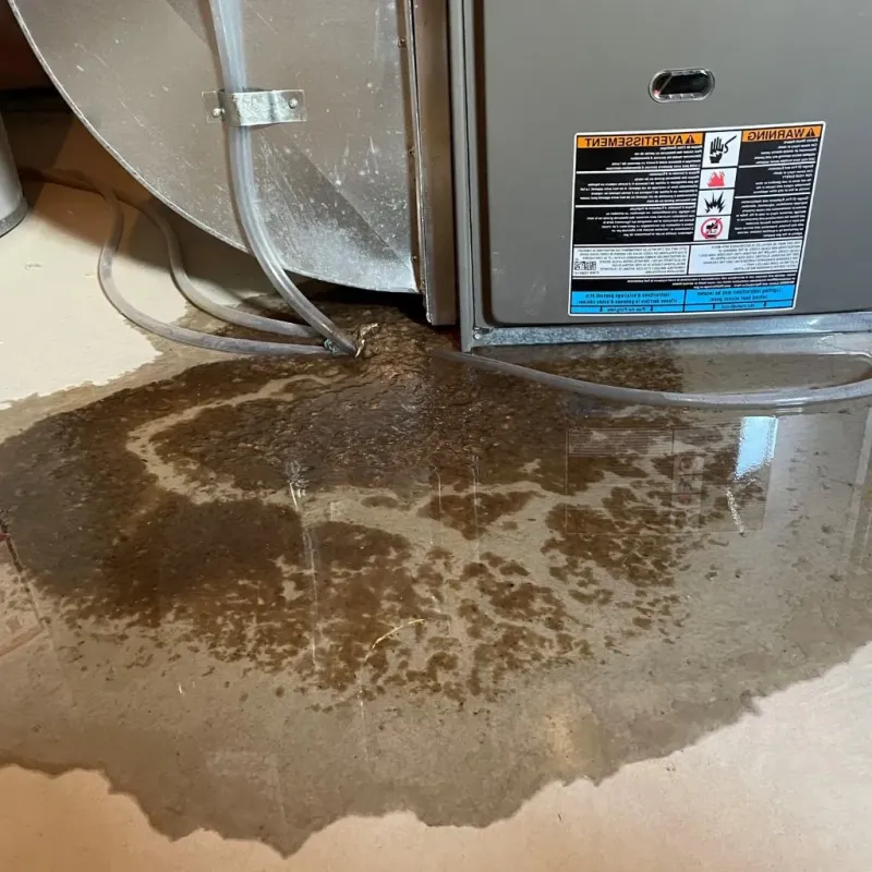 Pipe Burst and Leak Restoration in Pioneer Village, KY