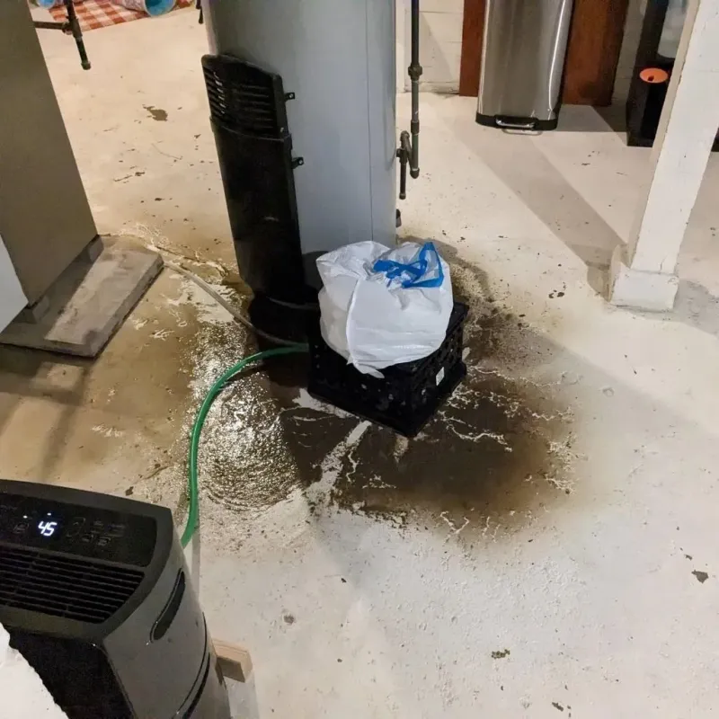 Sewage Backup Cleanup Service in Pioneer Village, KY
